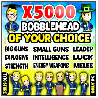 Bobblehead   ( Big Guns - Leader - Melee - Small Guns - Energy Weapons - Intelligence - strength - luck - explosive )