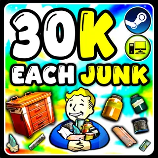 Junk
