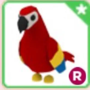 R PARROT | ADOPT ME