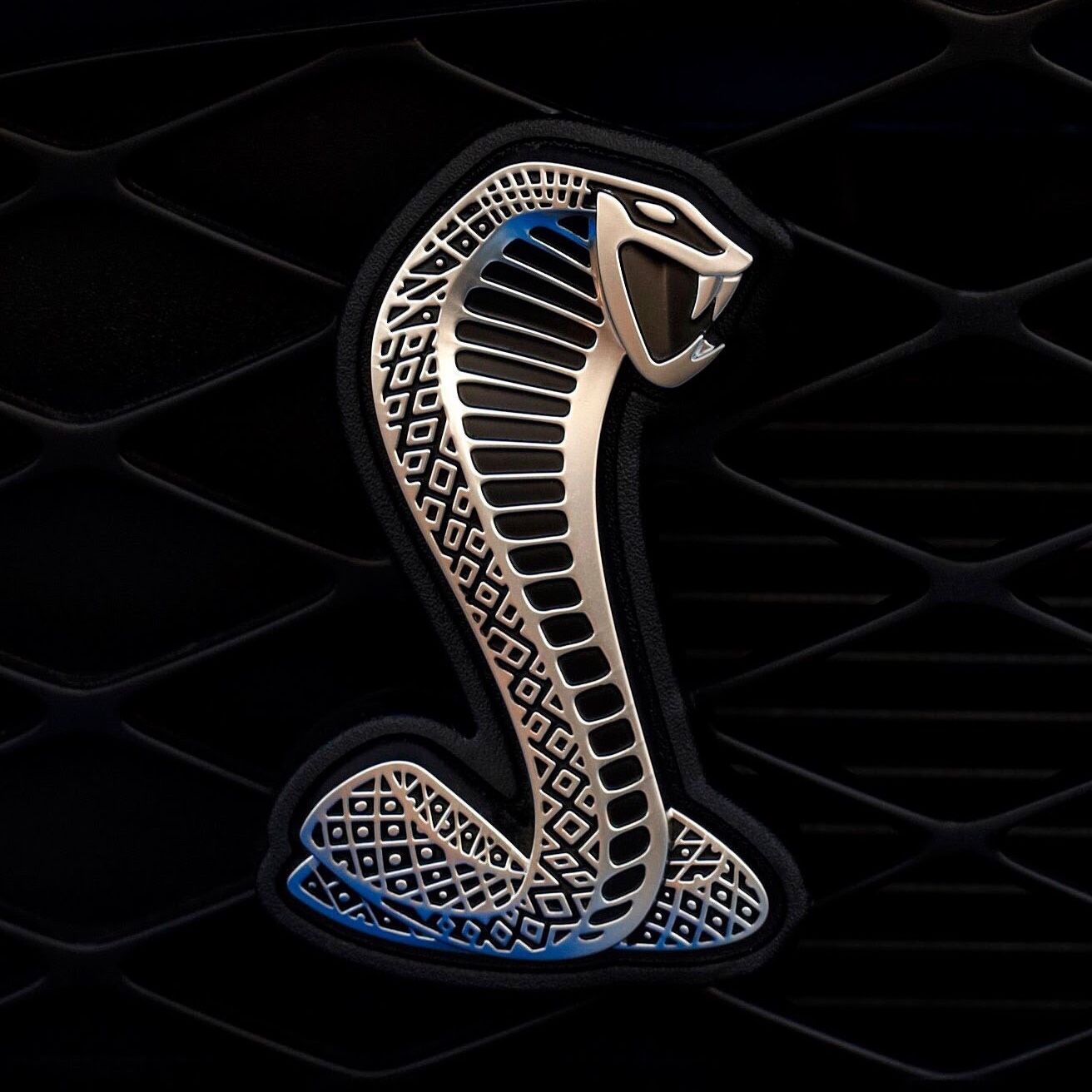 картинки эмблема змеи