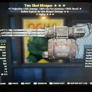 TS/E/1A Minigun