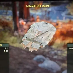 Tattered Field Jacket