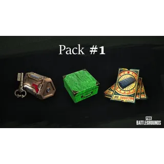 PUBG - 2024 XBOX GAME PASS EXCLUSIVE SURVIVOR PACK #1 - XBOX SERIES X|S, XBOX ONE