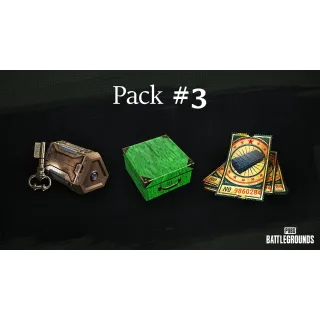 PUBG - 2024 XBOX GAME PASS EXCLUSIVE SURVIVOR PACK #3 - XBOX SERIES X|S, XBOX ONE