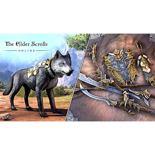 The Elder Scrolls Online: Dragon Slayer Bundle 2 DLC - XBOX