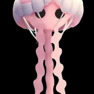 Fly Ride Jellyfish (full grown)