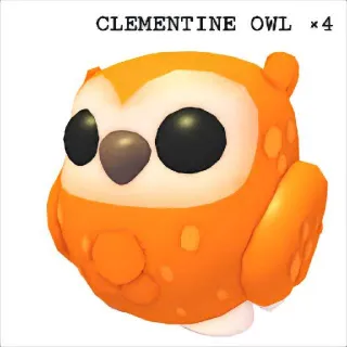 Clementine OWLS × 4