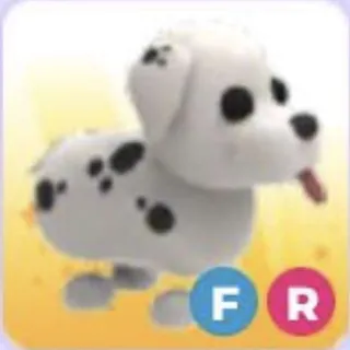 Dalmatian FR