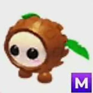 Mega Coconut Friend