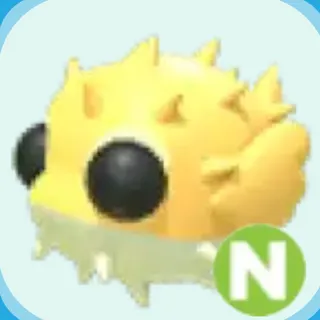 NEON NP PUFFERFISH