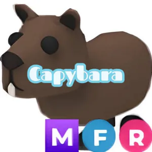 MFR Capybara