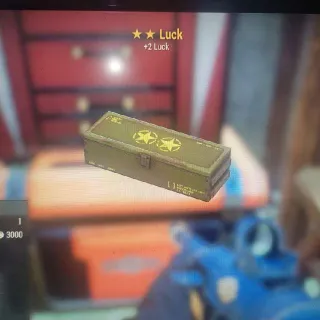 🌟🌟5x Luck Mod Box