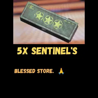 🌟🌟🌟5x Sentinel's