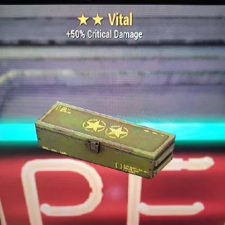 ⭐⭐Vital Mod