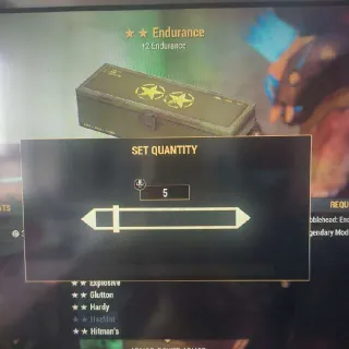 🌟🌟5x Endurance Mod Box