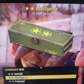 🌟🌟5x Intelligence Mod