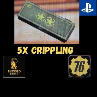 🌟🌟 5x Crippling Mod Box