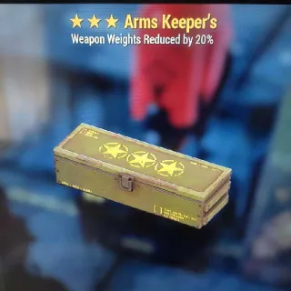 🌟🌟🌟5x Arms Keeper's