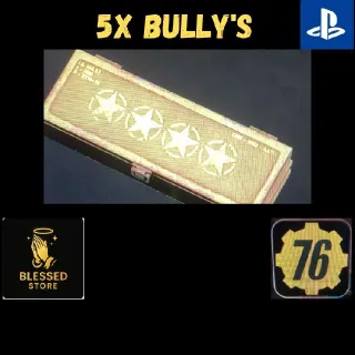 🌟🌟🌟🌟5x Bully's Mod Box