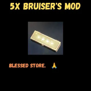 🌟🌟🌟🌟5x Bruiser's Mod
