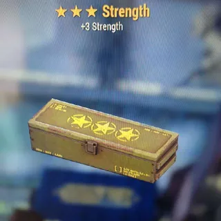 🌟🌟🌟Strenght Mod Box