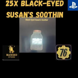 25x Black-eyed Susan's Soothin