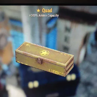 🌟Quad Mod Box