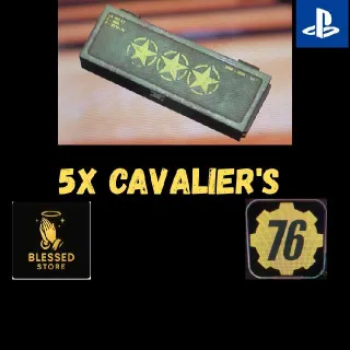 🌟🌟🌟 5x Cavalier's Mod Box