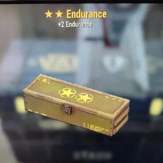 🌟🌟5x Endurance Mod Box