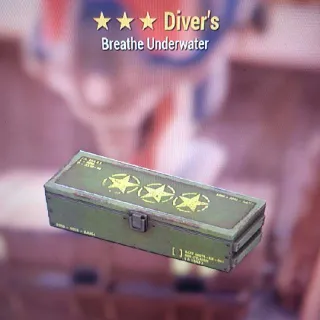 🌟🌟🌟Diver's Mod Box