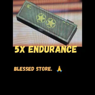🌟🌟 5x Endurance
