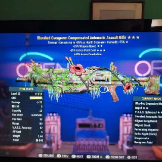 B2525 Assault Rifle