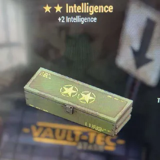 ⭐⭐Intelligence Mod Box