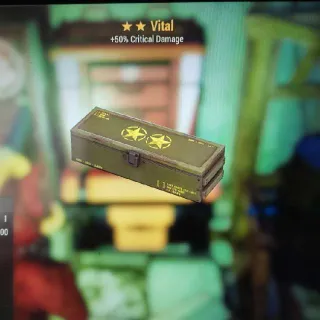 🌟🌟5x Vital Mod Box