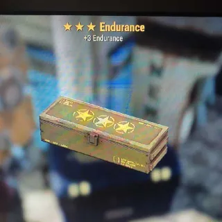 🌟🌟🌟Endurance Mod Box