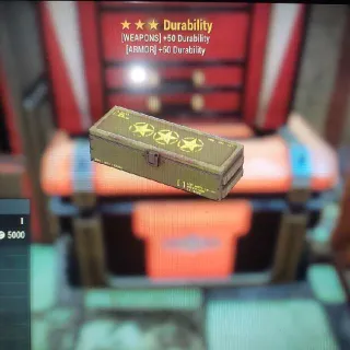 🌟🌟🌟Durability Mod Box