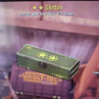 ⭐⭐5x Glutton Mod Box