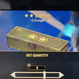 🌟🌟5x Strength Mod Box