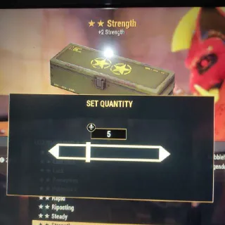 🌟🌟5x Strenght Mod Box