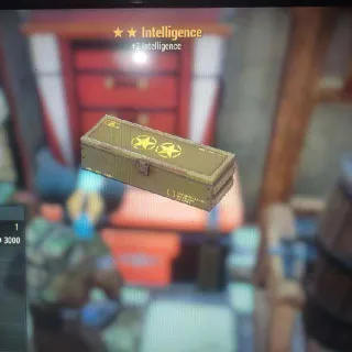 🌟🌟Intelligence Mod Box