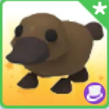 platypus