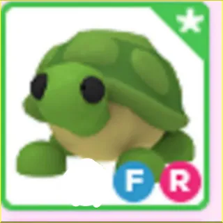 fr turtle
