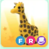 giraffe