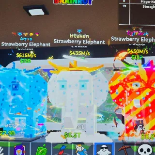 3x Bundle Strawberry Elephant Aqua, Heaven And Carnival