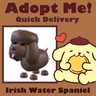 Irish Water Spaniel