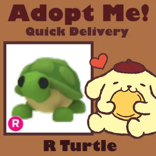 R Turtle