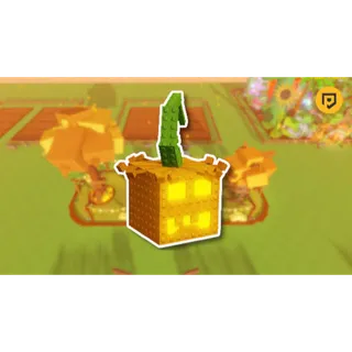  10x Atlantic Giant Pumpkin Seed