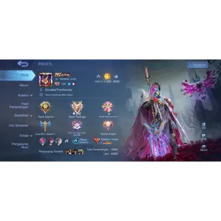 BORDER INFLUENCER AND AIRPLANE SKIN 740 EX IMO 392 GOOD WINRATE 70% LEGEND 9 CC 21 FULL STAR WARS FULL