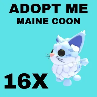 MAINE COON 16X - ADOPT ME 