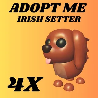 IRISH SETTER 4X - ADOPT ME 